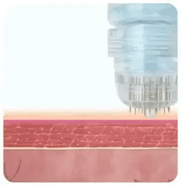 ezgif.com-webp-maker.webp__PID:c169c30b-e175-4bd1-a073-51d127c1fc43